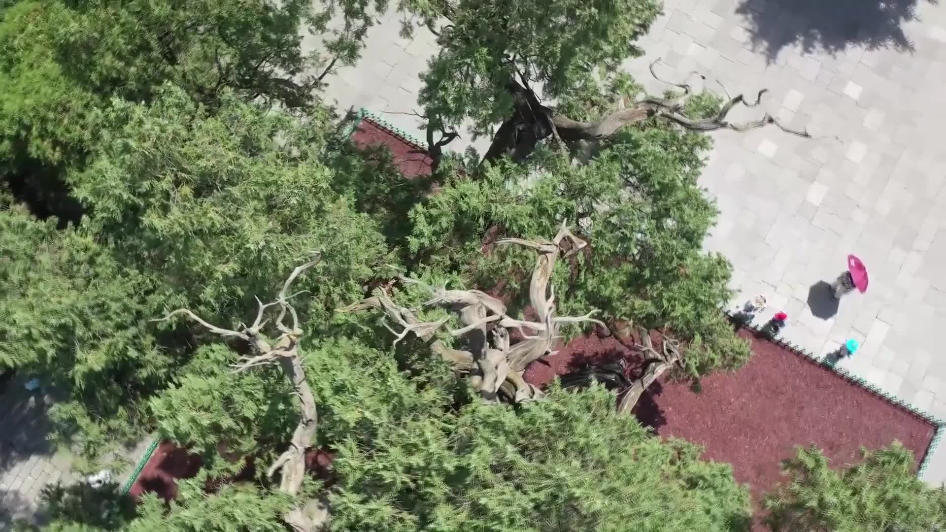 黄帝陵景区空景